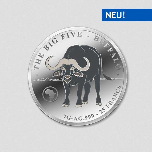Big Five - Buffalo - Silbermünze - Numiversal