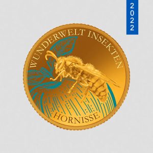 Wunderwelt Insekten – Hornisse