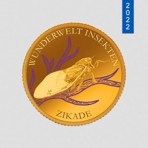 Wunderwelt Insekten – Zikade